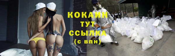 ешки Дмитровск