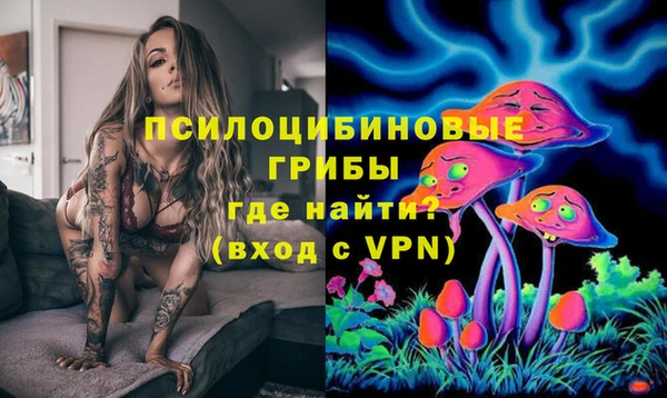 ешки Дмитровск