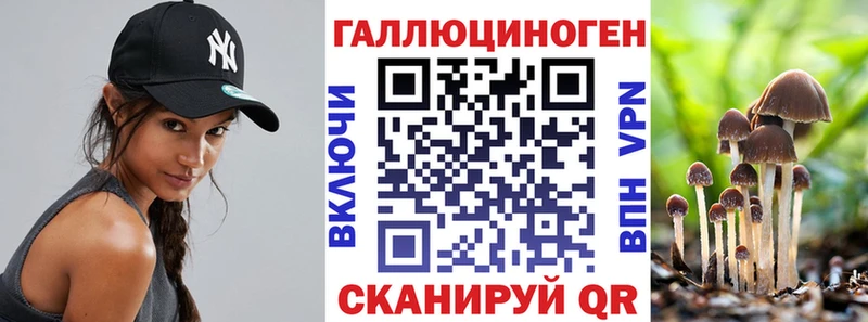 Галлюциногенные грибы MAGIC MUSHROOMS  Купить закладки  Новоульяновск 